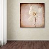Trademark Fine Art LightBoxJournal 'Paper Magnolia' Canvas Art, 14x14 ALI10411-C1414GG
